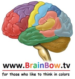 BrainbowTV English